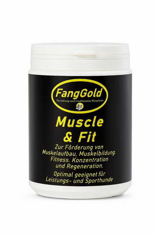 FangGold Muschle and Fit 400g